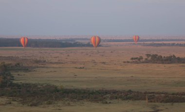 Güzel arka plan üzerinde büyük renkli balonlar