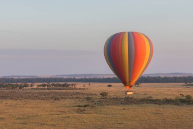 Güzel arka plan üzerinde büyük renkli balon