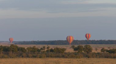 Güzel arka plan üzerinde büyük renkli balonlar
