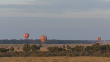 Güzel arka plan üzerinde büyük renkli balonlar