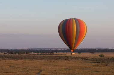 Güzel arka plan üzerinde büyük renkli balon