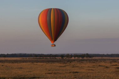 Güzel arka plan üzerinde büyük renkli balon
