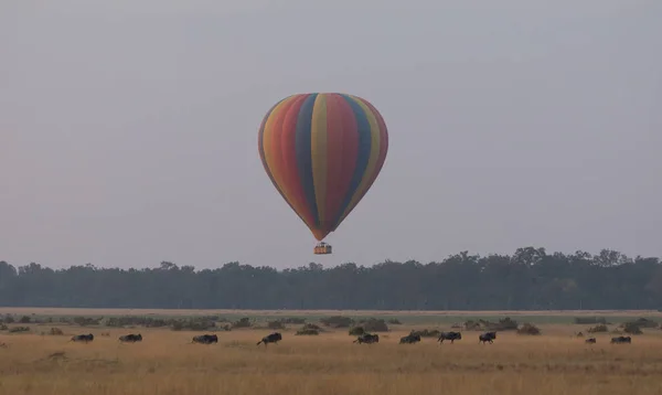 Globo Grande Colorido Con Elefantes Lindos Sobre Hermoso Fondo —  Fotos de Stock