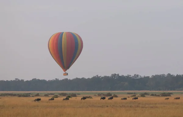 Globo Grande Colorido Con Elefantes Lindos Sobre Hermoso Fondo —  Fotos de Stock