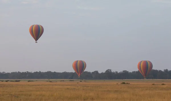 Große Bunte Luftballons Auf Schönem Hintergrund — Stockfoto