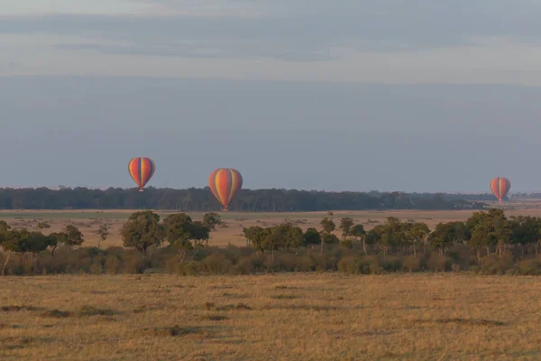 Grote Kleurrijke Ballonnen Mooie Achtergrond — Stockfoto