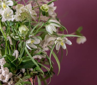 Çiçekler, güzel grup kapatın. Tatil