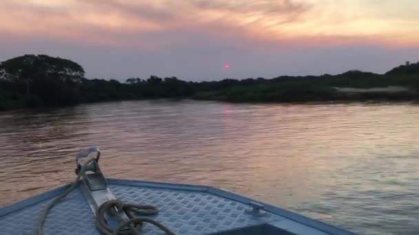 Barco Está Movendo Rio Área Pantanal Brasil Filme Filmado Durante — Vídeo de Stock