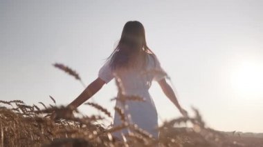 Beyaz elbiseli genç bir kız buğday saplarında dönüyor.