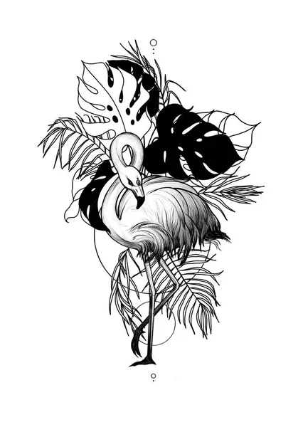 Flamingo Black Tattoo Sketch — Stock Photo, Image