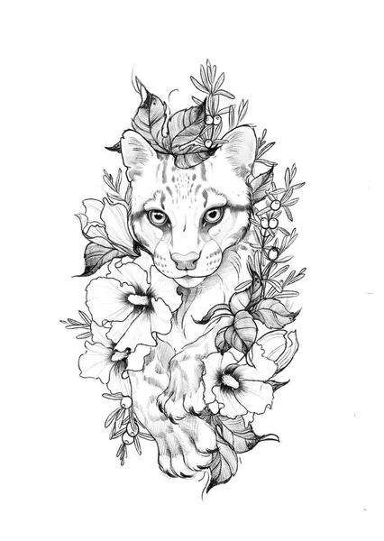 Ocelot Wild Cat Tattoo Sketch — Stock Photo, Image