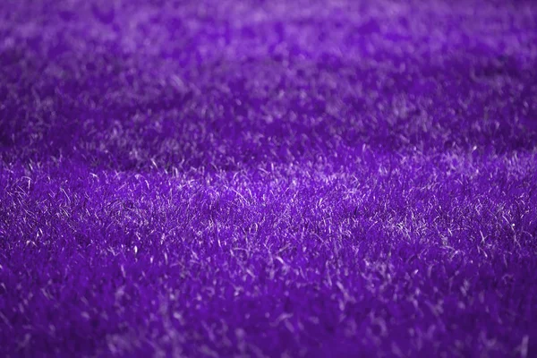 Trendy Ultra Violet fundo feito de grama fresca primavera. Cenário roxo abstrato . — Fotografia de Stock