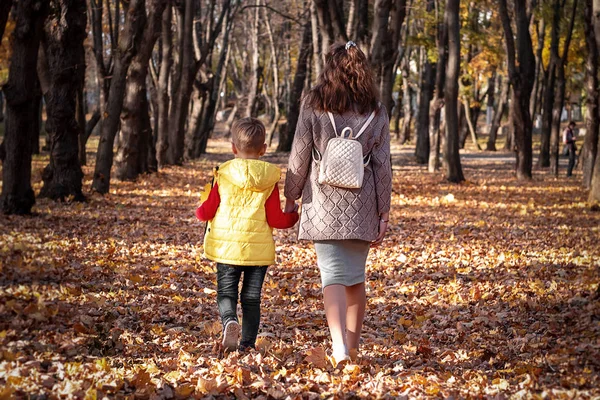 Büyük kız ve erkek kardeş sonbahar parkta vardır.