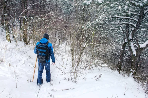 Man Travels Winter Forest — Stock Photo, Image