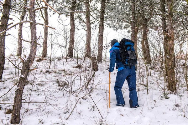 Man Reist Winter Forest — Stockfoto