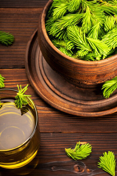 Елочные ветви с молодыми зелеными побегами. Этнонаука
.