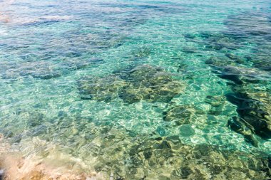 Kristal turkuaz plajları, Yunanistan. Sithonia