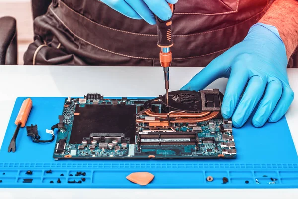 Tamirci teknik destek çalışır, restorasyon ve dizüstü temizlik yapan.