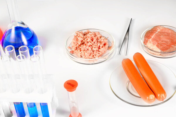 Synthetic meat production. Checking the product for suitability in the laboratory. Artificial meat is the food of the future. Test tube meat.