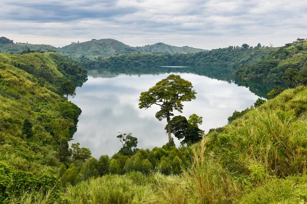 Małe Jezioro Odbitymi Chmurami Nieruchomej Powierzchni Otoczone Bogatą Roślinnością Polami Obraz Stockowy
