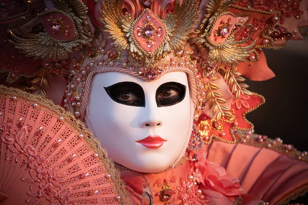 Vrouw Een Traditioneel Roze Kostuum Masker Poserend Tijdens Een Prachtige Stockafbeelding