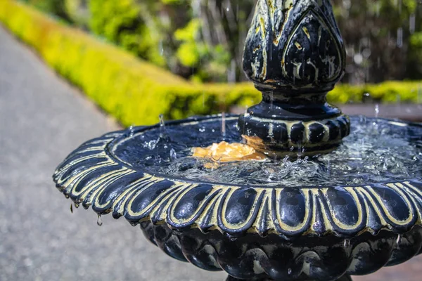 Agua Goteando Sobre Una Flor Amarilla Piscina Una Fuente Agua — Foto de Stock