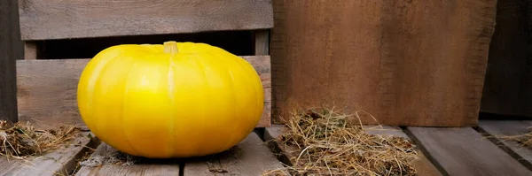 Citrouille jaune sur un fond de vieilles planches et d'herbe sèche. — Photo