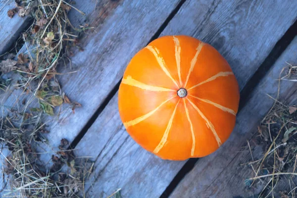 Citrouille orange sur un fond de vieilles planches — Photo