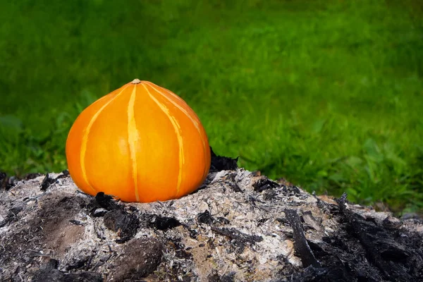 Abóbora cor de laranja em uma corrediça de cinza e contra um contexto de grama verde. — Fotografia de Stock