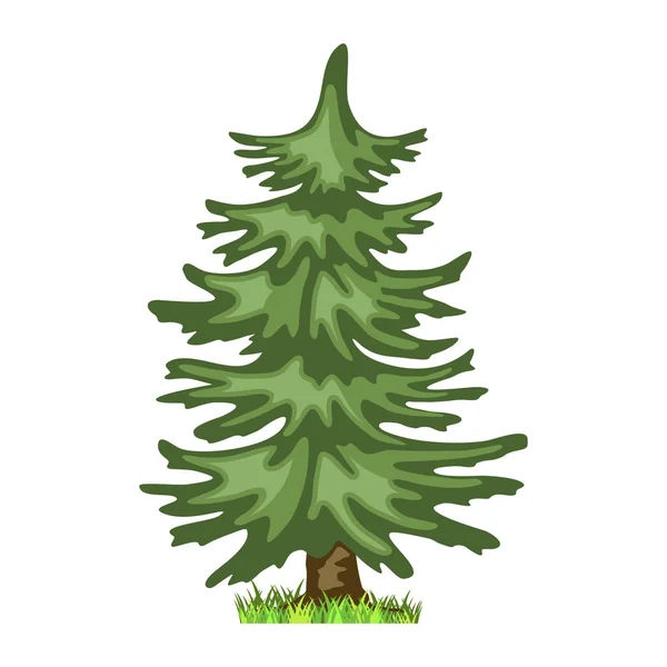 Árbol de coníferas en cuatro estaciones - primavera, verano, otoño, invierno. Naturaleza y ecología. Estilo de dibujos animados Ilustración de árbol verde — Archivo Imágenes Vectoriales