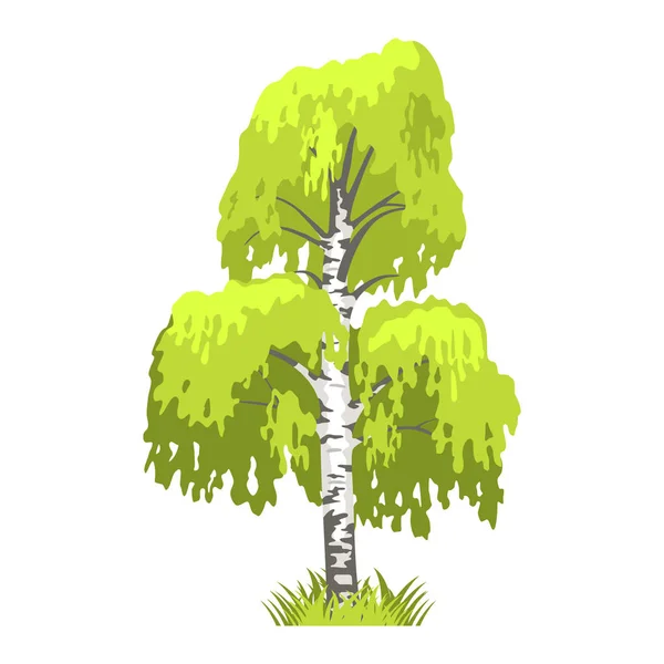 Árbol caduco en cuatro estaciones - primavera, verano, otoño, invierno. Naturaleza y ecología. Ilustración del árbol verde — Vector de stock