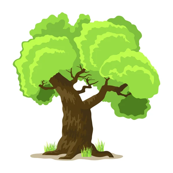 Φυλλοβόλο δέντρο σε τέσσερις εποχές - άνοιξη, καλοκαίρι, φθινόπωρο, χειμώνας. Φύση και οικολογία. Πράσινο δέντρο εικόνα — Διανυσματικό Αρχείο