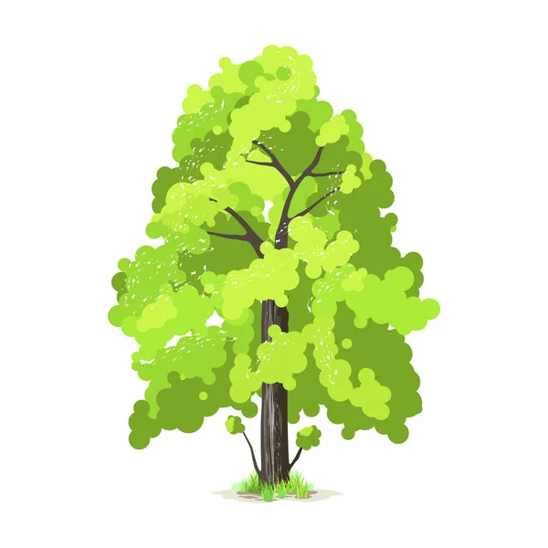 Deciduous tree in four seasons - spring, summer, autumn, winter. Nature and ecology. Green tree illustration