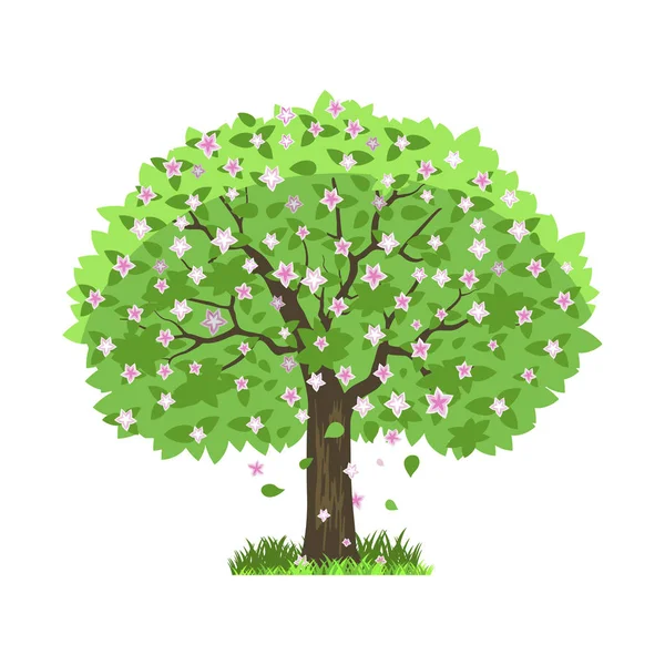 Лиственное дерево в четыре сезона - весна, лето, осень, зима. Природа и экология. Иллюстрация зелёного дерева — стоковый вектор
