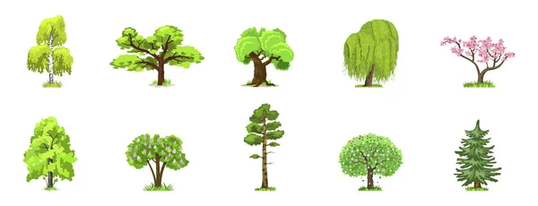 Arbres à feuilles caduques en quatre saisons : printemps, été, automne, hiver. Nature et écologie. Illustration vectorielle des arbres verts . — Image vectorielle