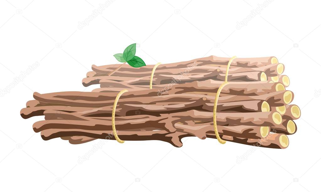 Vector image shows brown branches stack bound with cord