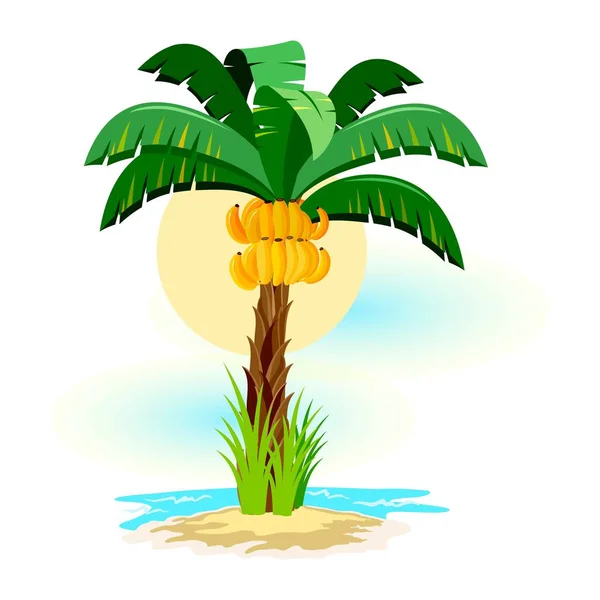 Paisaje tropical con cielo soleado, palmeras en la playa. Vacaciones de verano en los trópicos . — Vector de stock