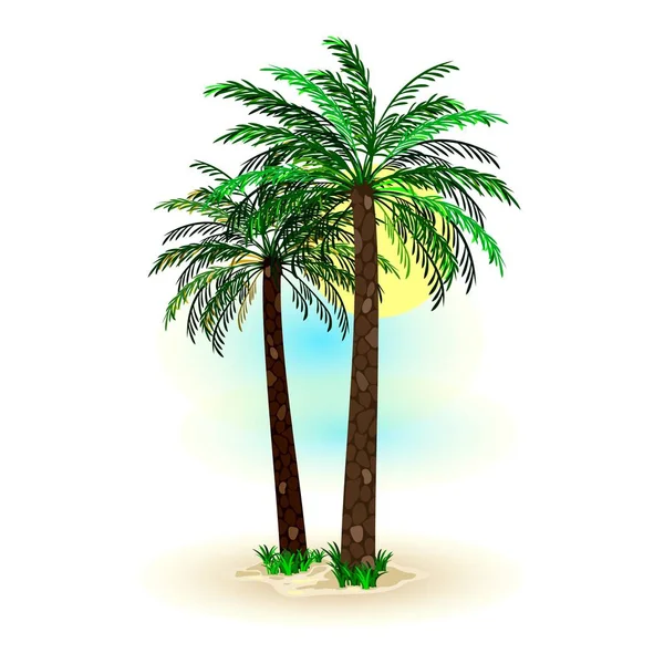 Paisaje tropical con cielo soleado, palmeras en la playa. Vacaciones de verano en los trópicos . — Vector de stock
