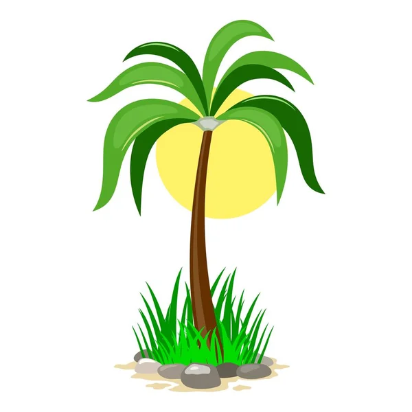 Imagen vectorial muestra palmera verde en hierba con rocas — Vector de stock