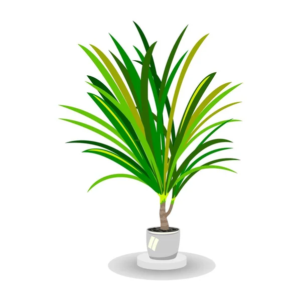 Image vectorielle isolée montrant un palmier vert en pot blanc — Image vectorielle