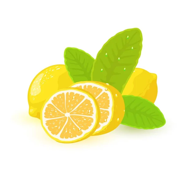 Imagen vectorial muestra limones y rodajas con hojas verdes — Vector de stock