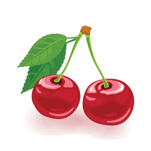 Cereza madura con hojas. Dos bayas rojas dulces. Icono de vector de dibujos animados aislado sobre fondo blanco. — Vector de stock