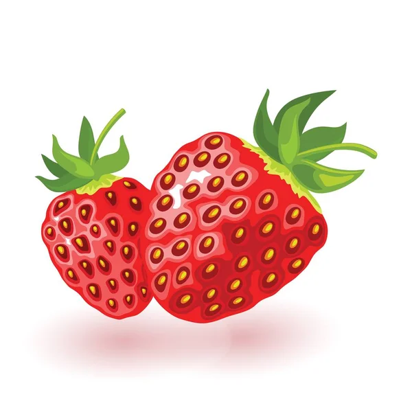 Ripe strawberry with leaves. Two sweet red berries. Cartoon vector icon isolated on white. — Stock Vector