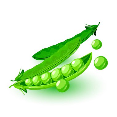 Taze kabuklu yeşil bezelyeler. Legume bitkisi. Vejetaryen, vejetaryen mutfağı, alkalin diyeti..