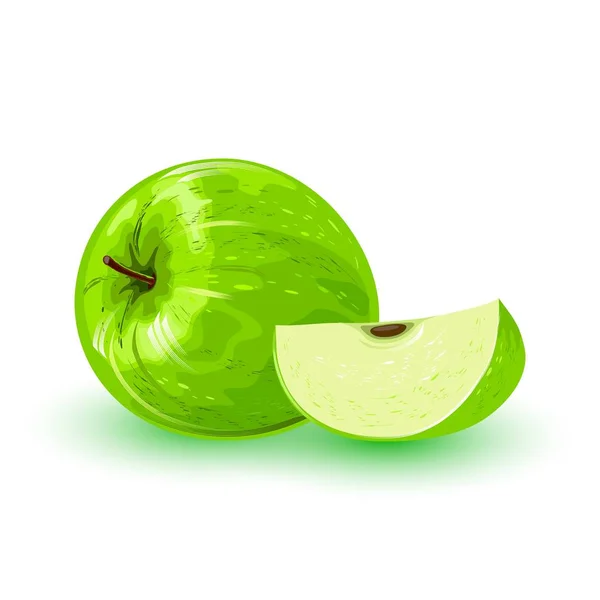 Fresh green apple and segment of it. Healthy, vegetarian snack. — Stock Vector