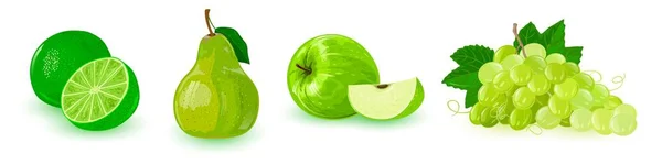 Набор с зелеными спелыми фруктами в линию: яблоко, куча винограда, груша, известь . — стоковый вектор