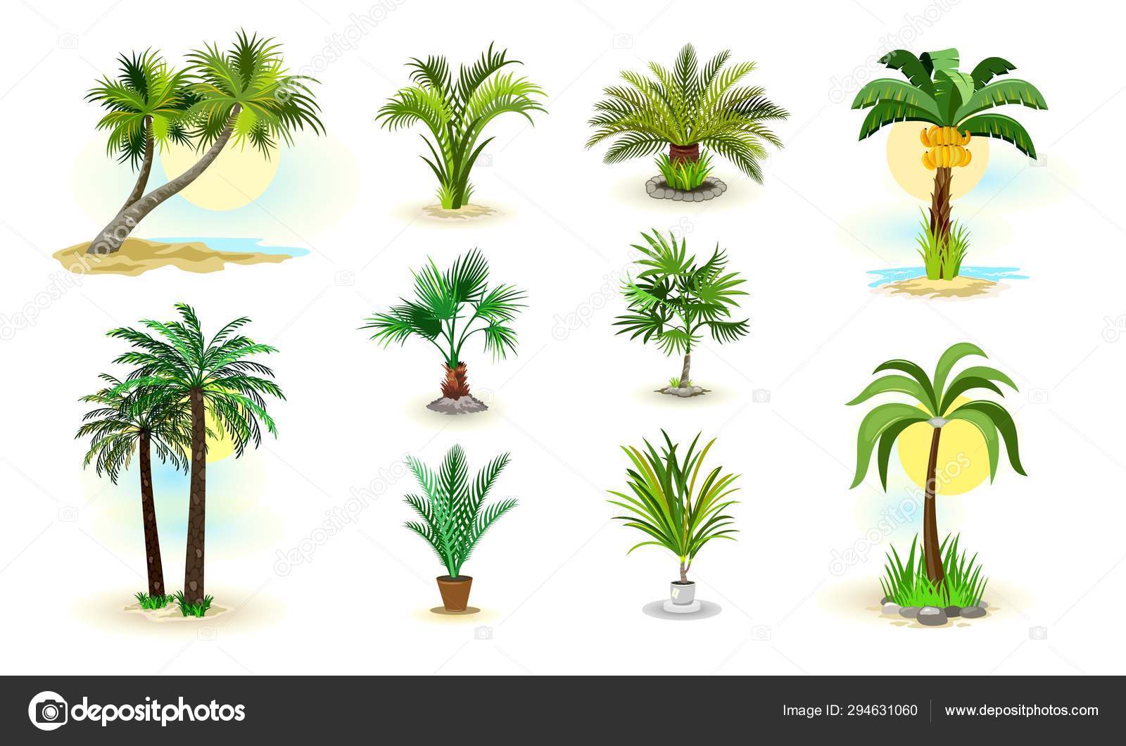 园林花卉旁的棕榈树免费图库照片| FreeImages, image size:1600x1060