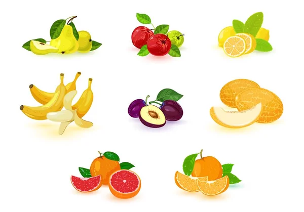 Imagen vectorial muestra conjunto de ejemplos de frutos aislados — Vector de stock