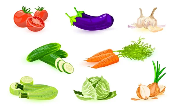 Grönsaker: röd tomat, aubergine, vitlök, gurka, morot, zucchini, vitkål, lök. Ligger. — Stock vektor