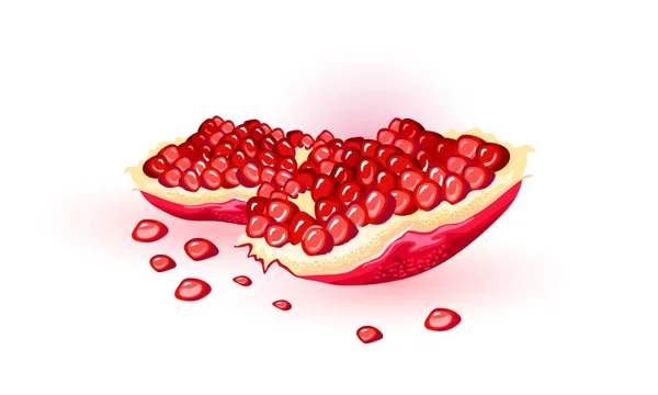 Dividir la granada fresca con semillas rojas maduras similares a las gemas. Fruta dulce puntiaguda . — Vector de stock